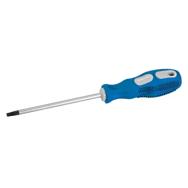 Wkrętak uniwersalny Trx T25 x 100 mm - Silverline