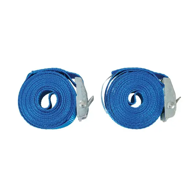 Zestaw pasków sprzączkowych 2,5 m x 25 mm, 2 szt. 2,5m x 25 mm - Silverline